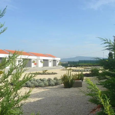 Отель Vinyl M Hotel - Adults Only 3*