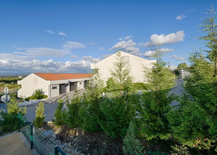 Vinyl M - Adults Only ميلادا